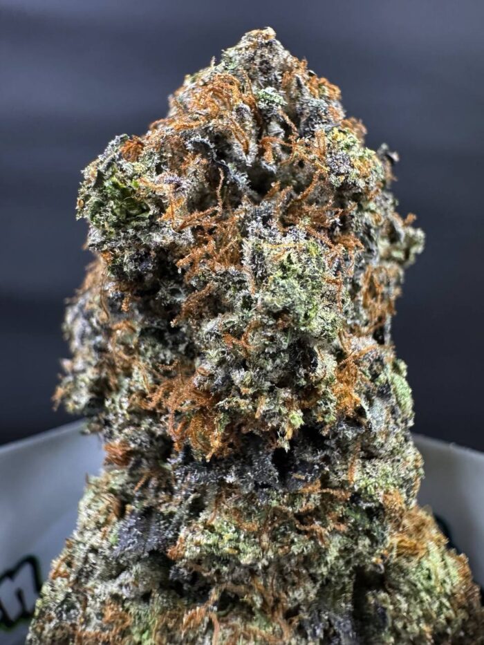 Monster Cookies 🍪