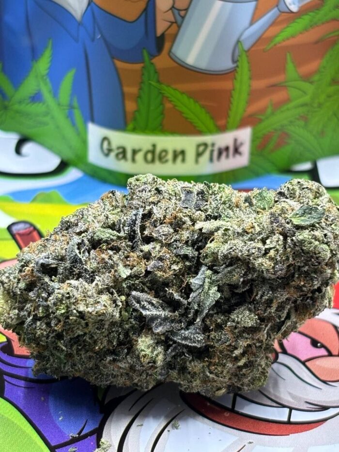 Garden Pink 🔥